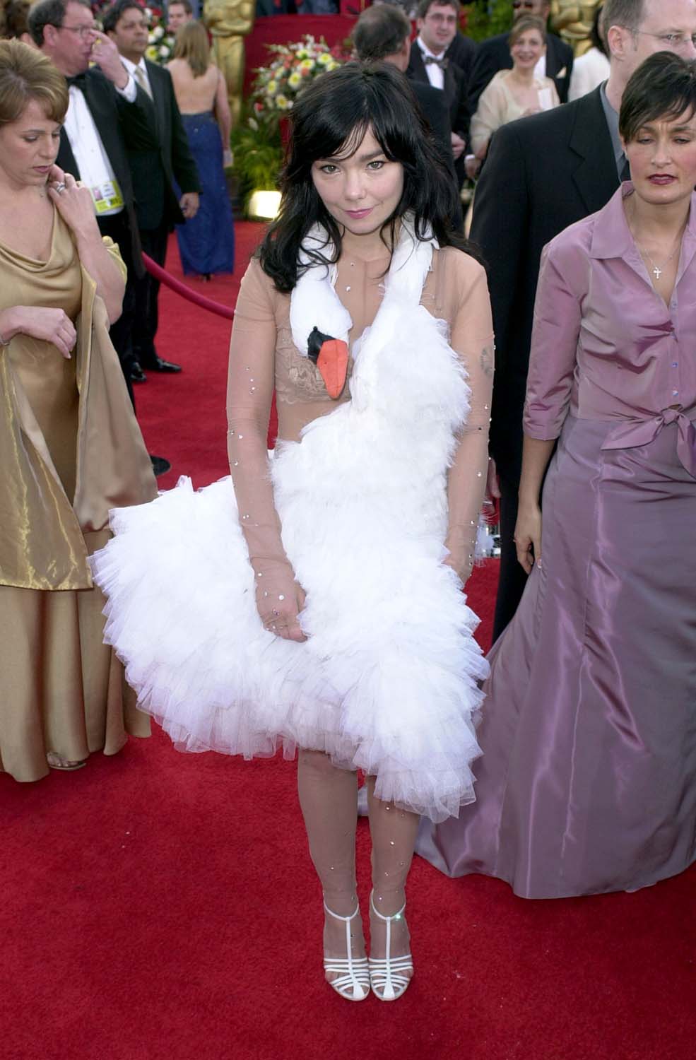 Bjork oscars on sale dress